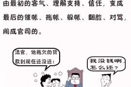 澧县澧县的要账公司在催收过程中的策略和技巧有哪些？